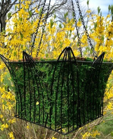 14" Metal and Moss Square Hanging Basket