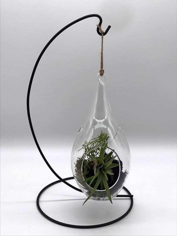 Hanging Glass Raindrop Terrarium for Air Plants