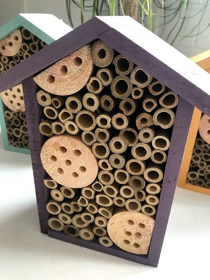 Sunny 1 Room Pollinator House - Garden Outside The Box