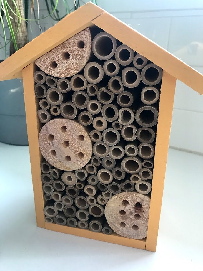 Sunny 1 Room Pollinator House - Garden Outside The Box