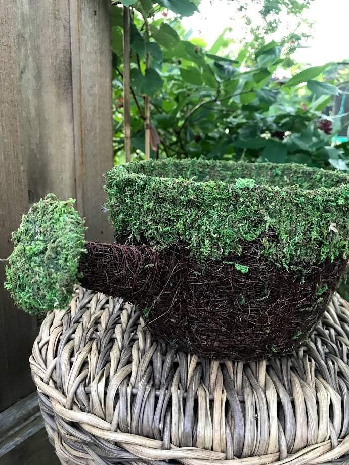 watering can for hanging plants Watering Can PLANTER - Natural MOSS & Wicker
