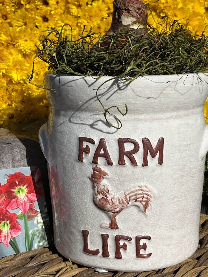 Farm Life Ceramic Planter with Amaryllis Grow Kit